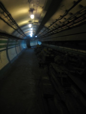 Piccadilly Circus Platform