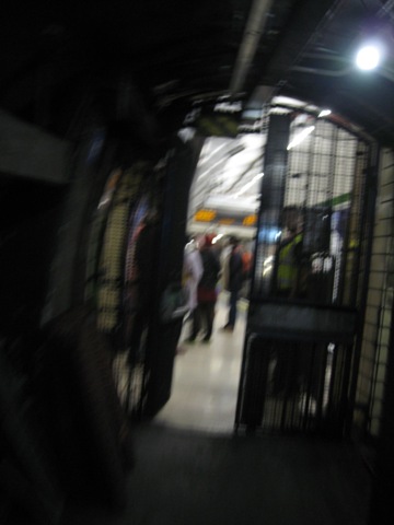 Piccadilly Circus Platform