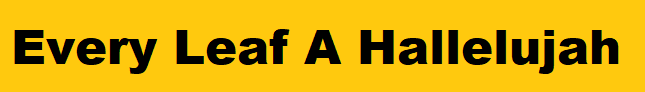 Open Air Theatre banner